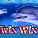 Twin Win